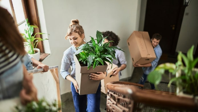 5. Forkæl dine hjælpere - flyttetips